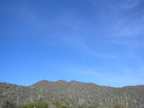 Arizona 024